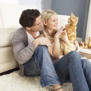 Как да съдържате коте или възрастна котка в апартамента: правила за съхраняване на котки у дома